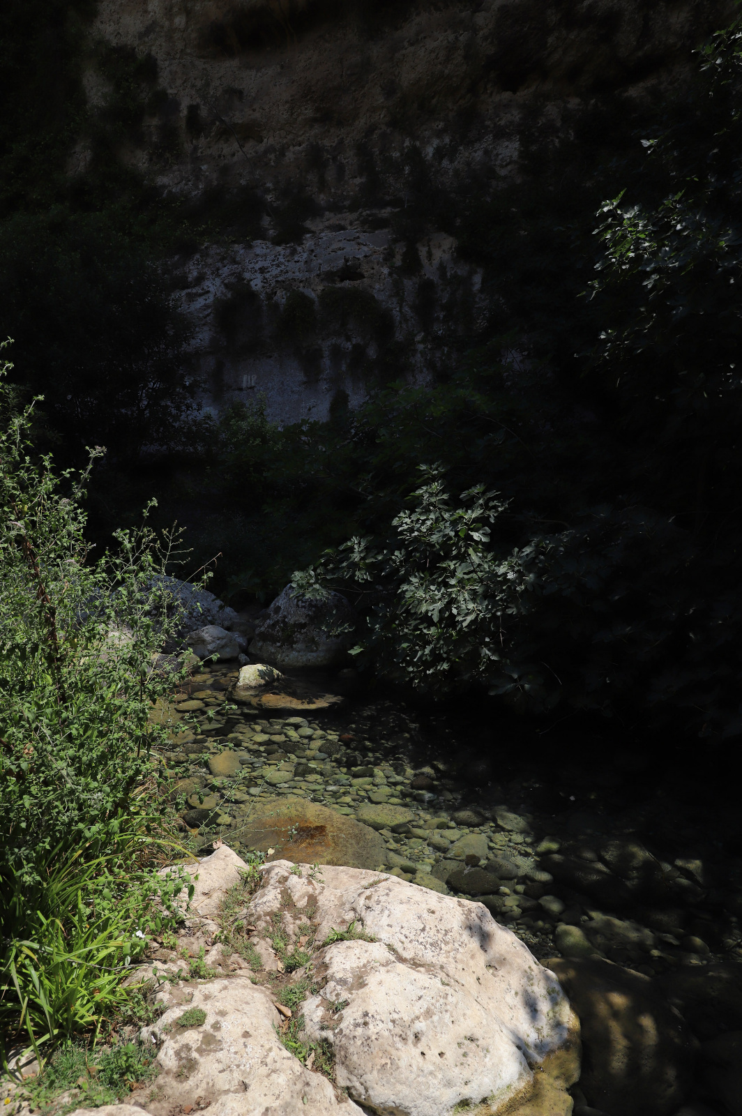 IMG 0918 LR